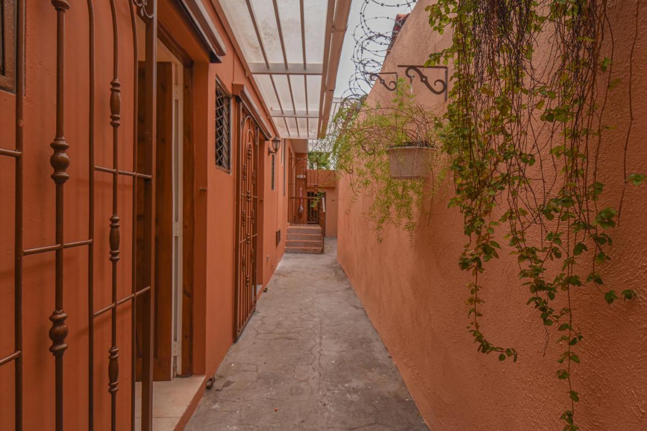 Ph 19 Guesthouse Hotel In Gazcue Санто Доминго Екстериор снимка